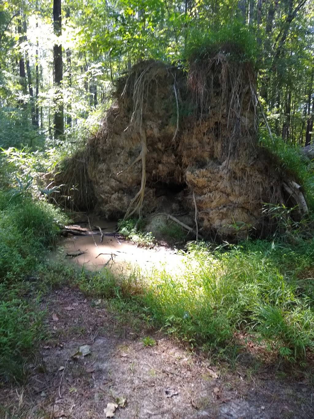 Stumpy Lake Natural Area | 4797 Indian River Rd, Virginia Beach, VA 23456, USA | Phone: (757) 385-1100