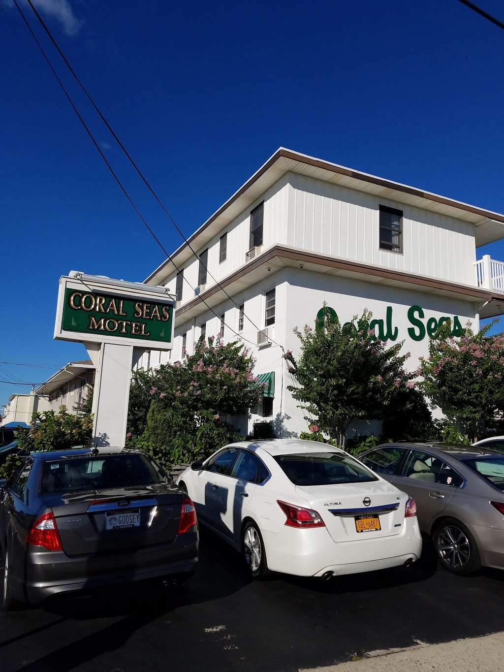 Coral Seas Oceanfront Motel | 21 Coral St, Beach Haven, NJ 08008, USA | Phone: (609) 492-1141