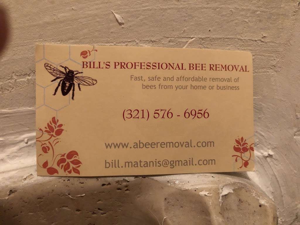 Bills Professional Bee Removal | 3431 Biscayne Dr, Merritt Island, FL 32953, USA | Phone: (321) 576-6956