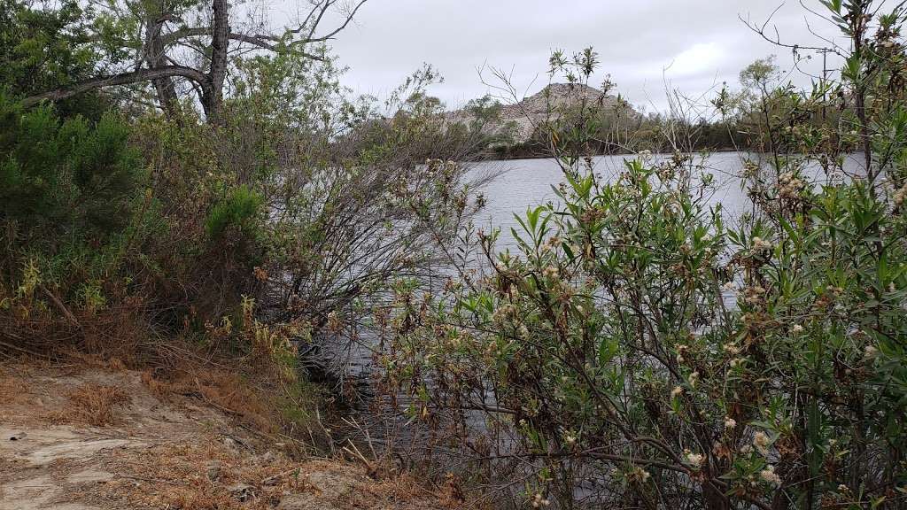 Fenton Pond | San Diego, CA 92154, USA | Phone: (619) 424-0463