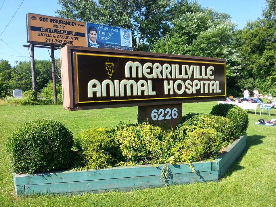 Merrillville Animal Hospital - Dr. Alicia Gustafson DVM | 6226 Cleveland St, Merrillville, IN 46410, USA | Phone: (219) 980-1531