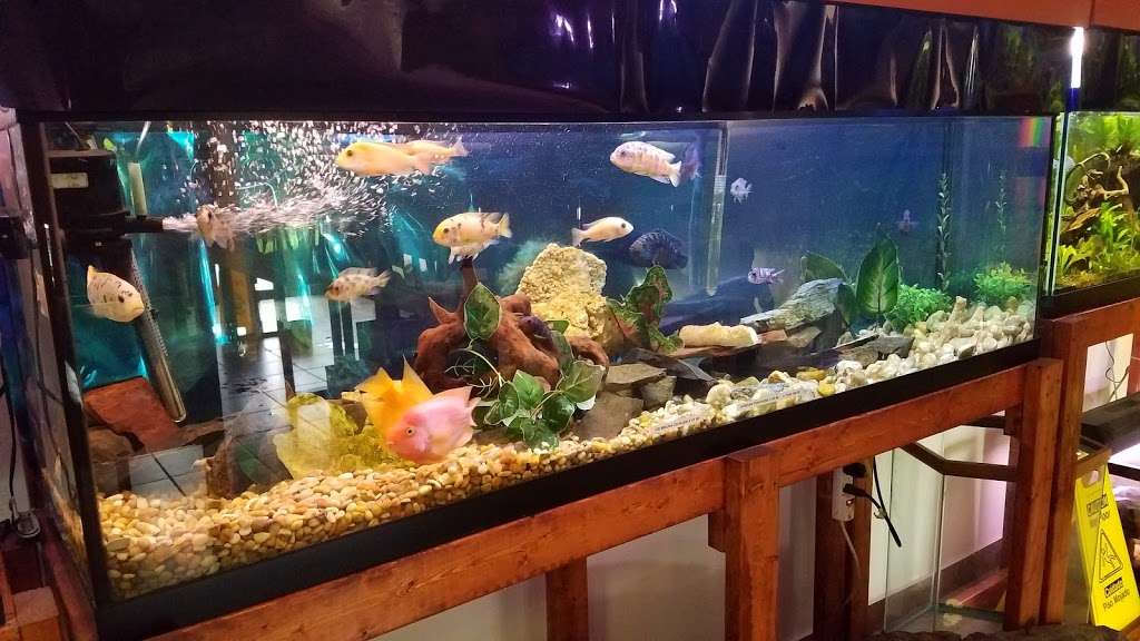 One Fish Two Fish | 2048 US-209, Brodheadsville, PA 18322, USA | Phone: (570) 992-1230