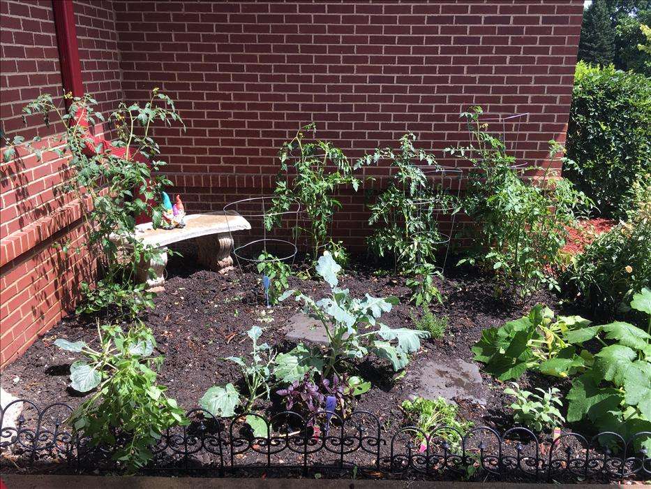 North Schaumburg KinderCare | 2601 Quentin Rd, Schaumburg, IL 60173, USA | Phone: (847) 397-0799