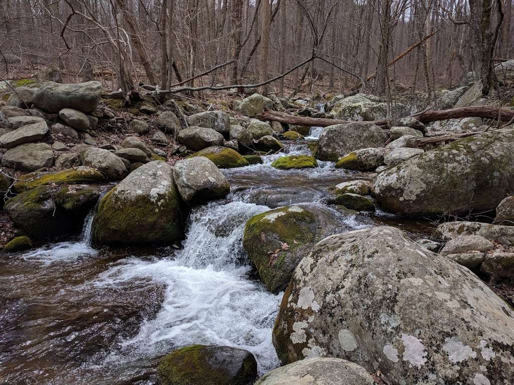 Old Rag Circuit Hike | Nethers Rd, Etlan, VA 22719, USA | Phone: (540) 999-3500