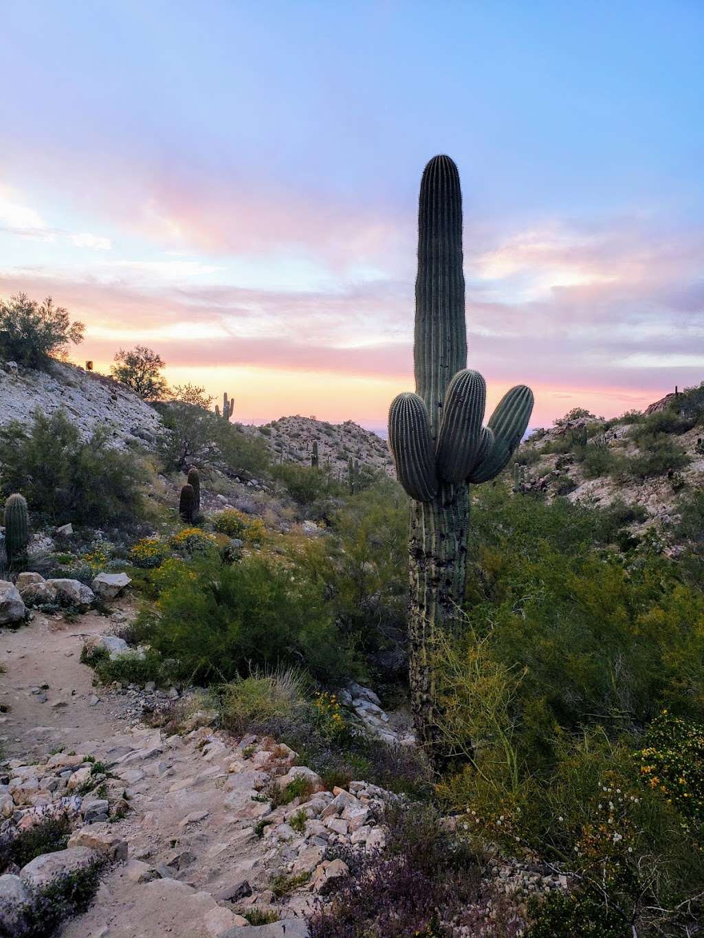 Kiwanis Trail Trailhead | Kiwanis Trail, Phoenix, AZ 85042, USA