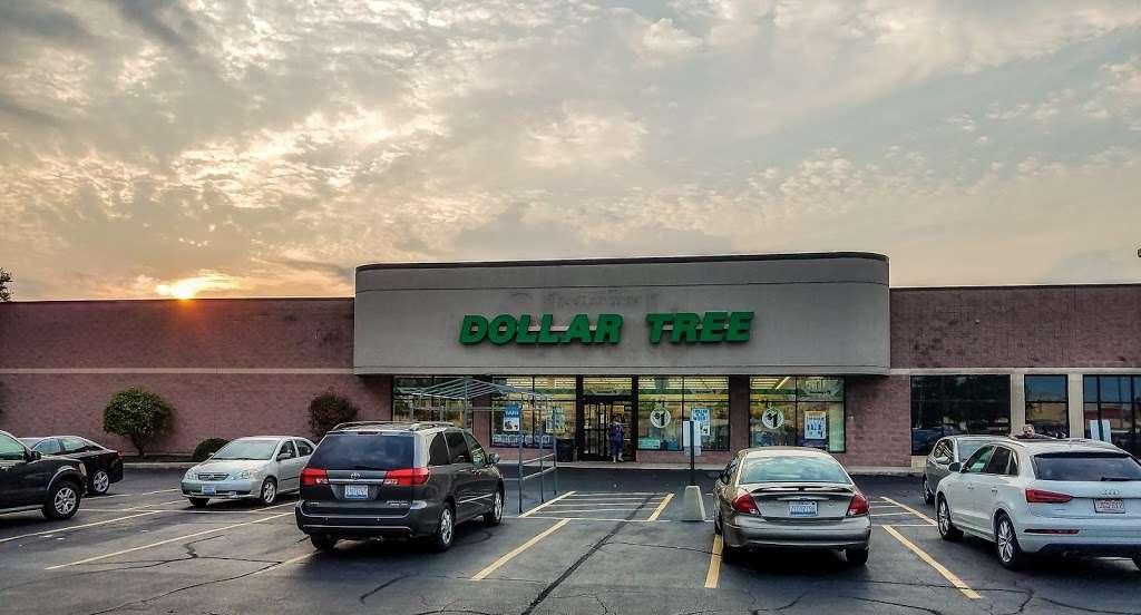 Dollar Tree | 2900 Colorado Ave, Joliet, IL 60431 | Phone: (815) 439-8856