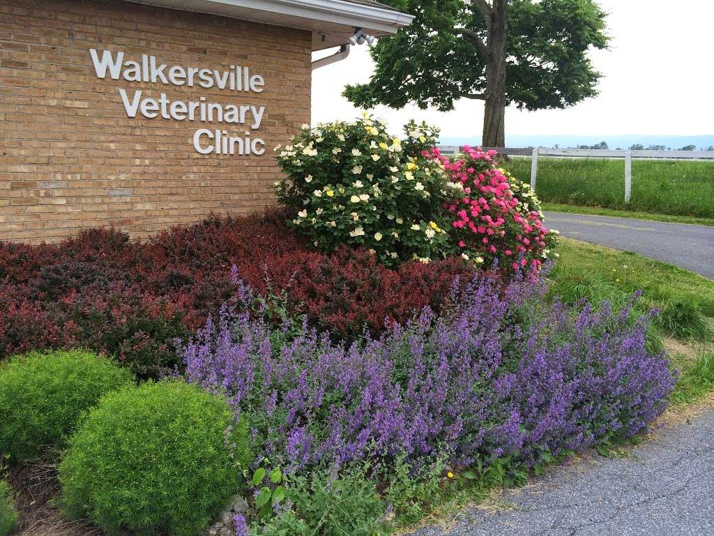 Walkersville Veterinary Clinic | 10559 Glade Rd, Walkersville, MD 21793, USA | Phone: (301) 898-7676