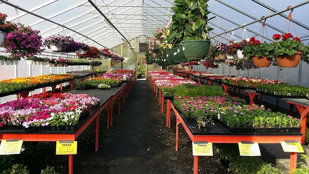 Hillside Nursery | 110 Jackson St, Clifton Heights, PA 19018, USA | Phone: (610) 626-2826