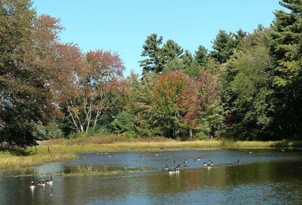 Kendall Pond Conservation Area | 87 South Rd, Londonderry, NH 03053, USA