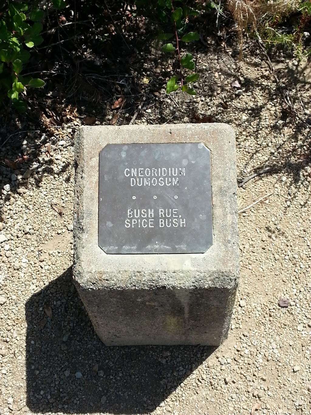 Seaview Park Trail And Overlook | Laguna Beach, CA 92651, USA Seaview Park Trail And Overlook | Laguna Beach, CA 92651, USA