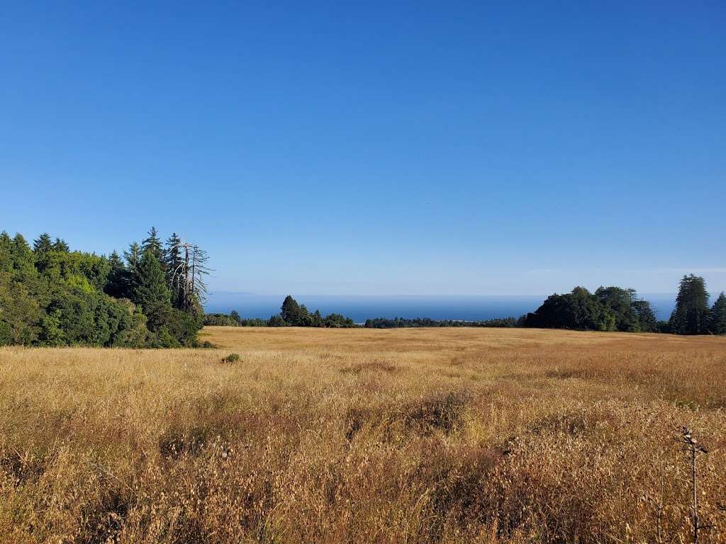 Wilder Ranch State Park | 1401 Coast Rd, Santa Cruz, CA 95060, USA | Phone: (831) 423-9703