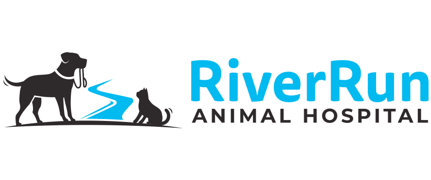 River Run Animal Hospital | 6250 Caden Rd, Charlotte, NC 28278, USA | Phone: (704) 486-5710