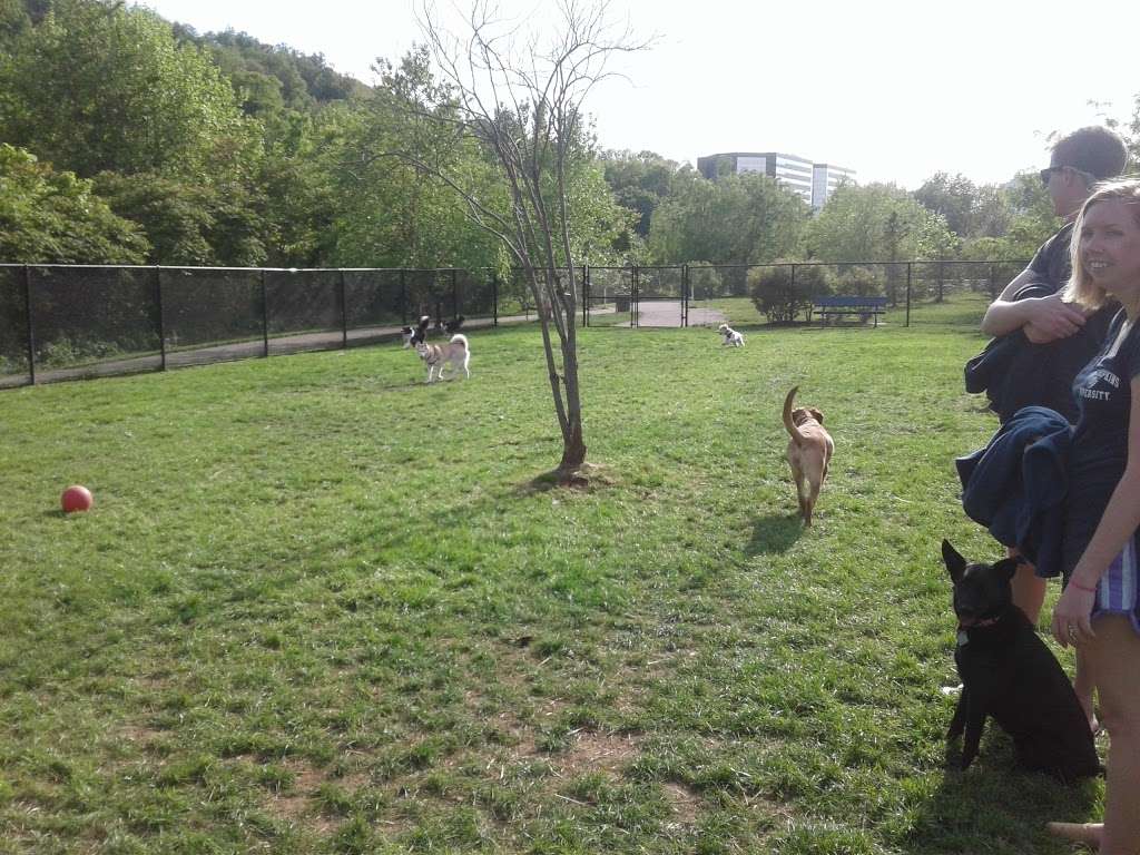 Conshohocken Dog Park | 227 Washington St, Conshohocken, PA 19428, USA