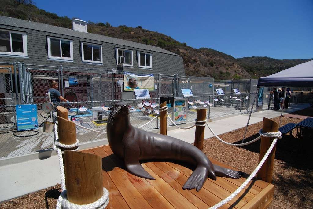 Pacific Marine Mammal Center | 20612 Laguna Canyon Rd, Laguna Beach, CA 92651, USA | Phone: (949) 494-3050
