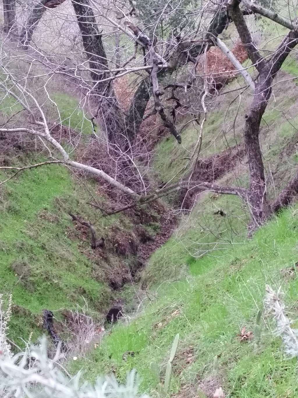 South Gate Entrance- Mt Diablo State Park | 2675 Mt Diablo Scenic Blvd, Blackhawk, CA 94506, USA | Phone: (925) 837-2525