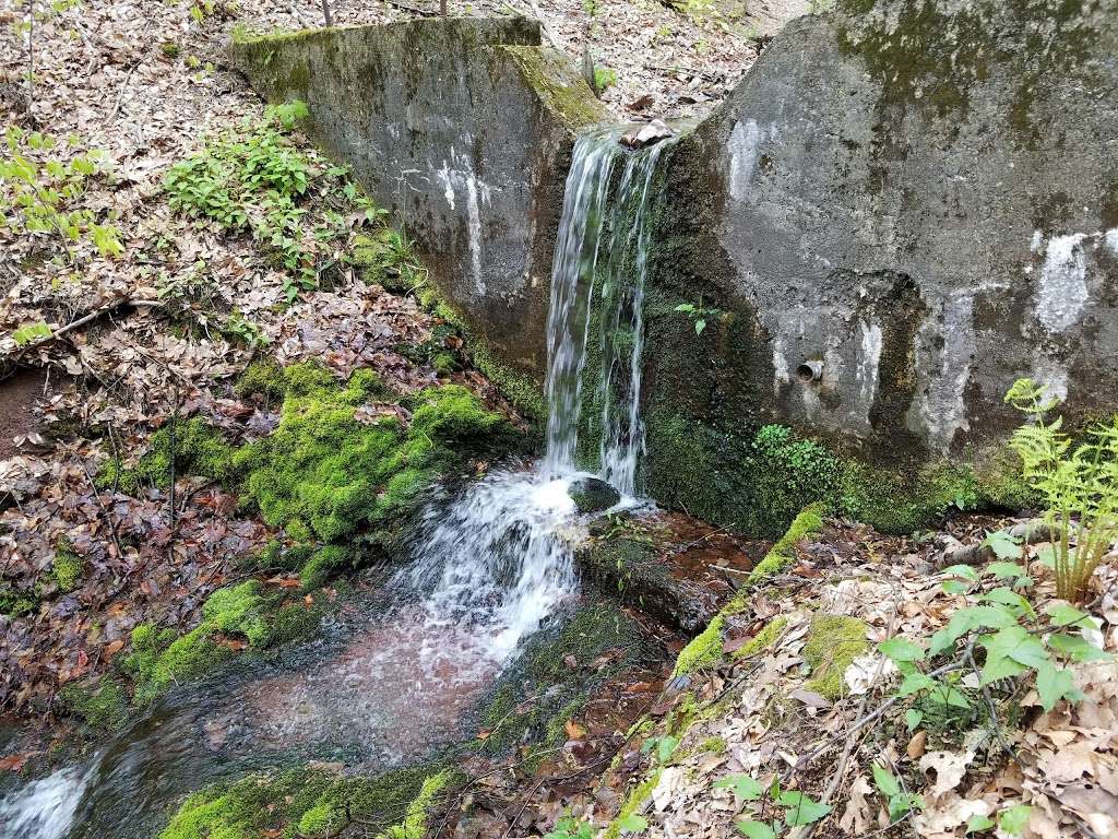 Cherry Valley National Wildlife Refuge | Stroudsburg, PA 18360, USA | Phone: (973) 702-7266