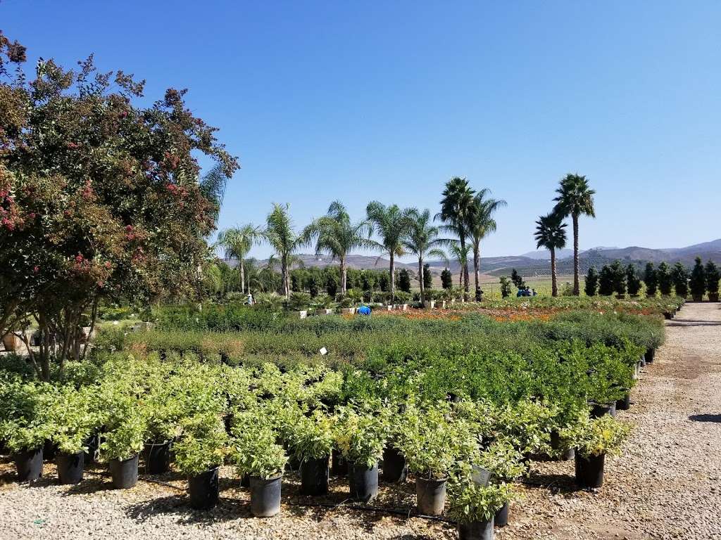 Sterling Gardens Nursery | 3909 Brennan Rd, Moorpark, CA 93021 | Phone: (805) 552-4454