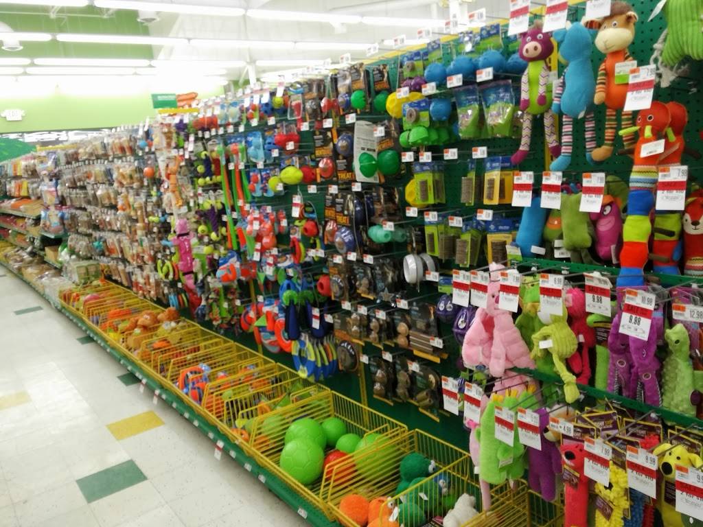 Pet Supplies Plus Cheektowaga | 3733 Union Rd, Cheektowaga, NY 14225, USA | Phone: (716) 686-9100