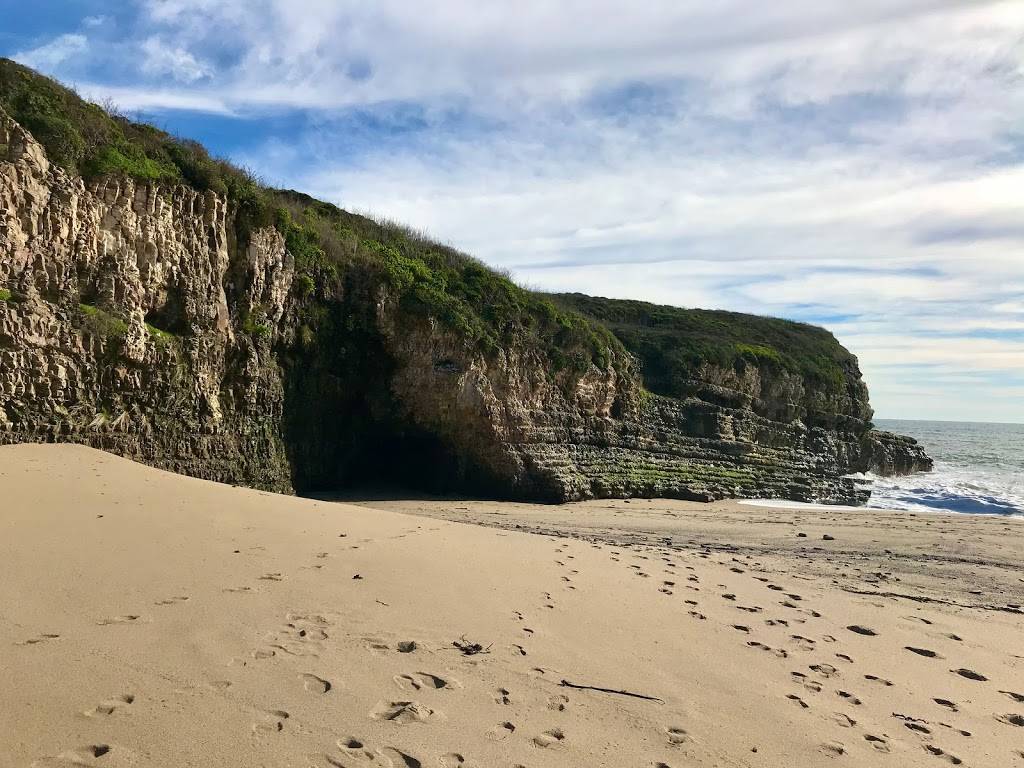 Fern Grotto Beach | Santa Cruz, CA 95060, USA | Phone: (831) 423-9703