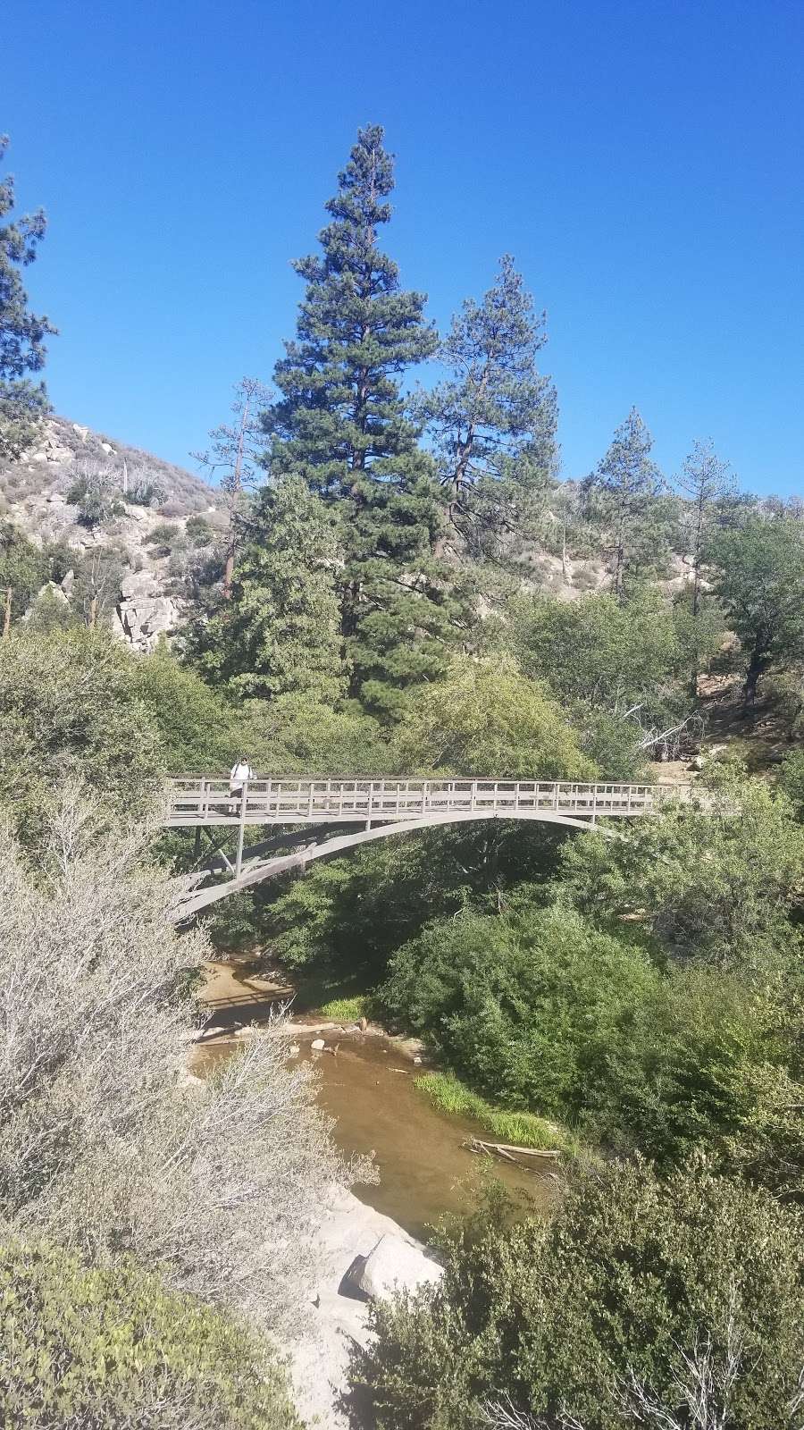 Splinters Cabin Day Use Area | Crab Flats, Green Valley Lake, CA 92341, USA | Phone: (909) 382-2790