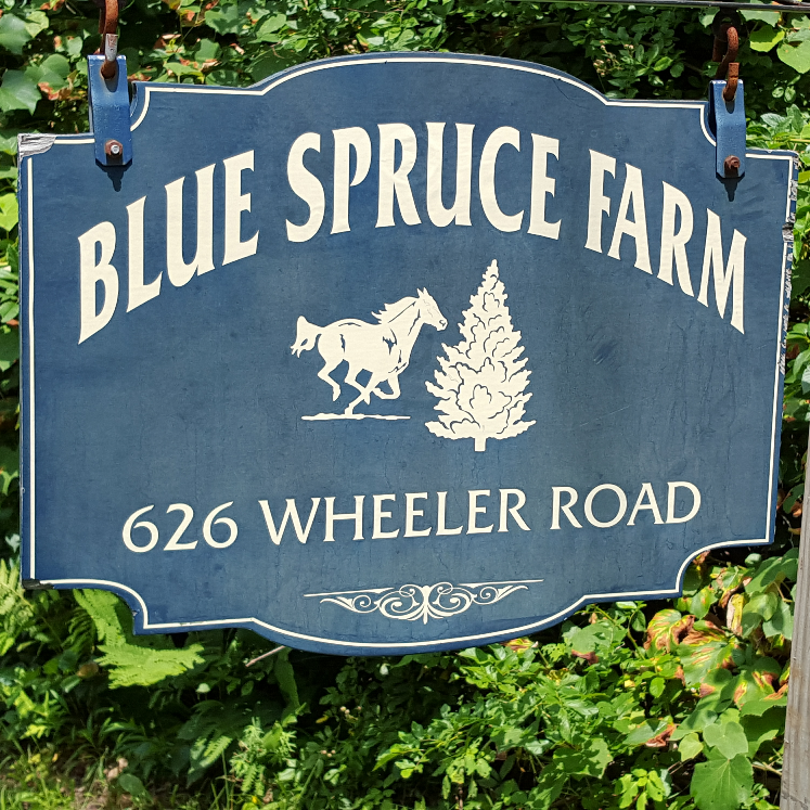 Blue Spruce Farm | 626 Wheeler Rd, Monroe, CT 06468, USA | Phone: (203) 268-6774