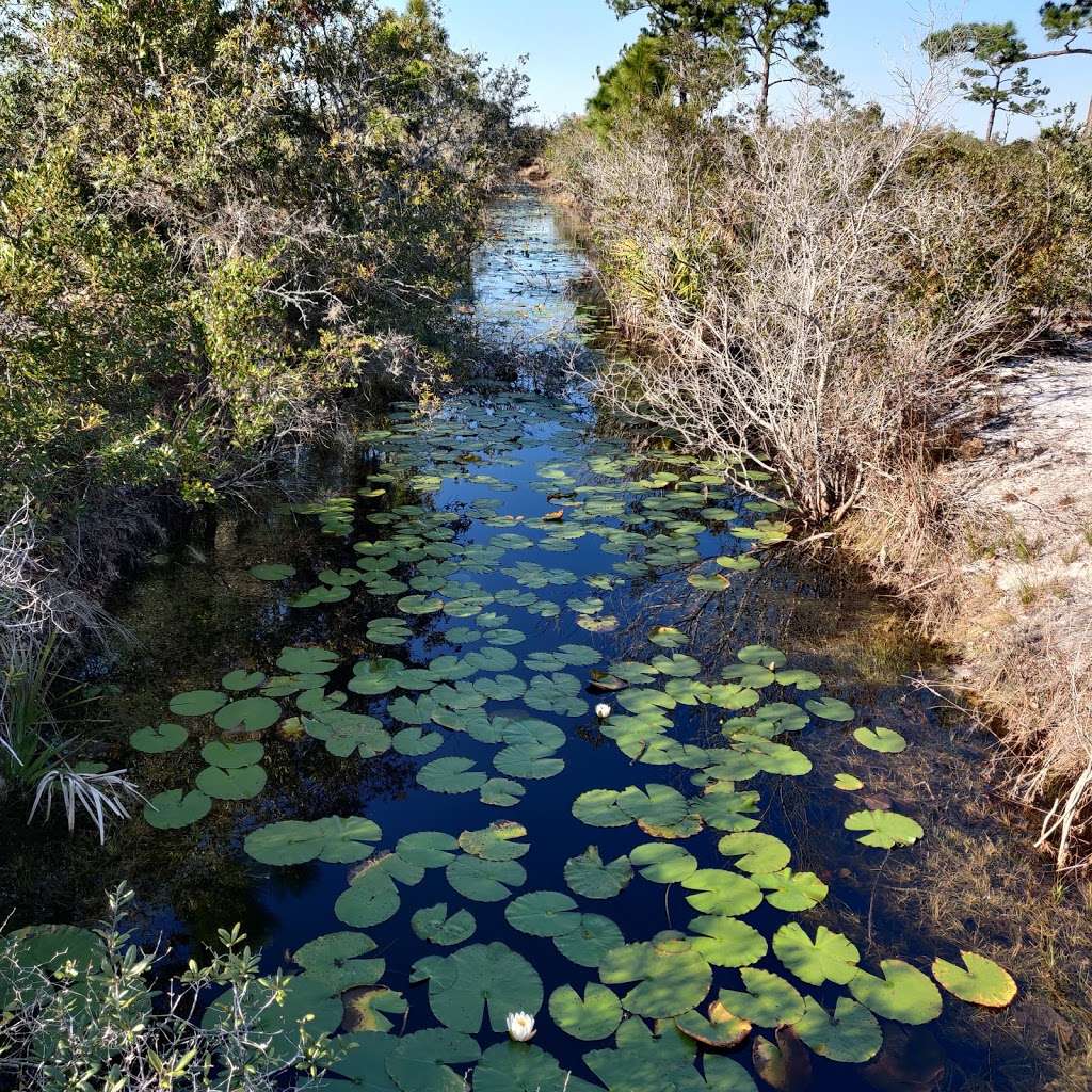 Helen & Allan Cruickshank Sanctuary | 326 Barnes Blvd #300, Rockledge, FL 32955, USA | Phone: (321) 255-4466