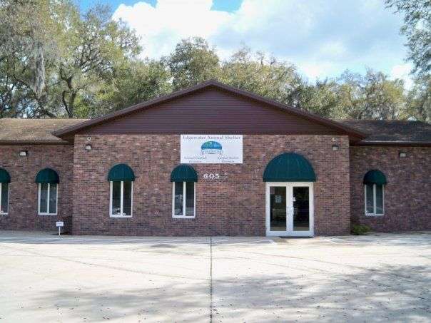 Edgewater Animal Shelter | 605 Mango Tree Dr, Edgewater, FL 32132, USA | Phone: (386) 424-2442