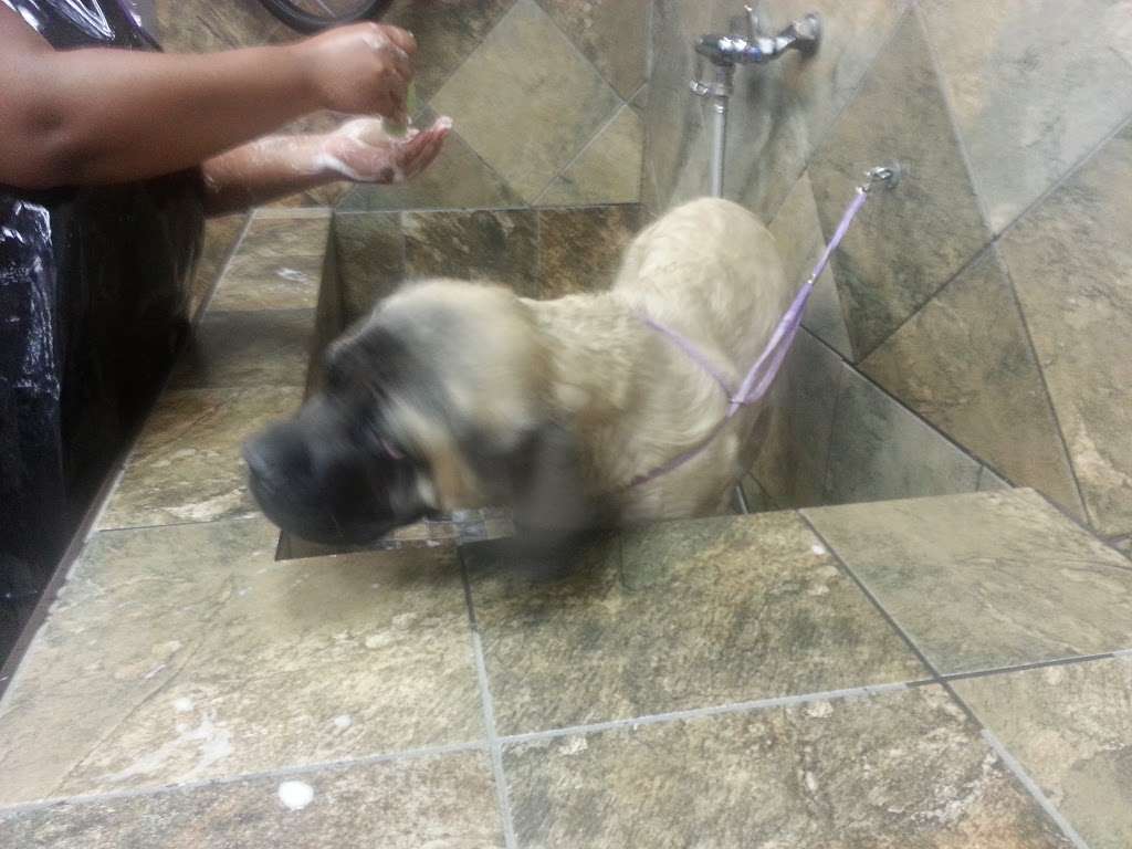 Pet Valu | 1308 Main Chapel Way, Gambrills, MD 21054, USA | Phone: (410) 451-1585