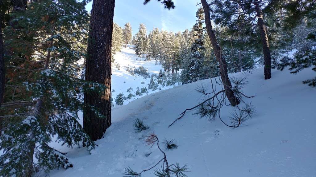 Kratka Ridge Parking | Pearblossom, CA 93553, USA | Phone: (626) 574-1613