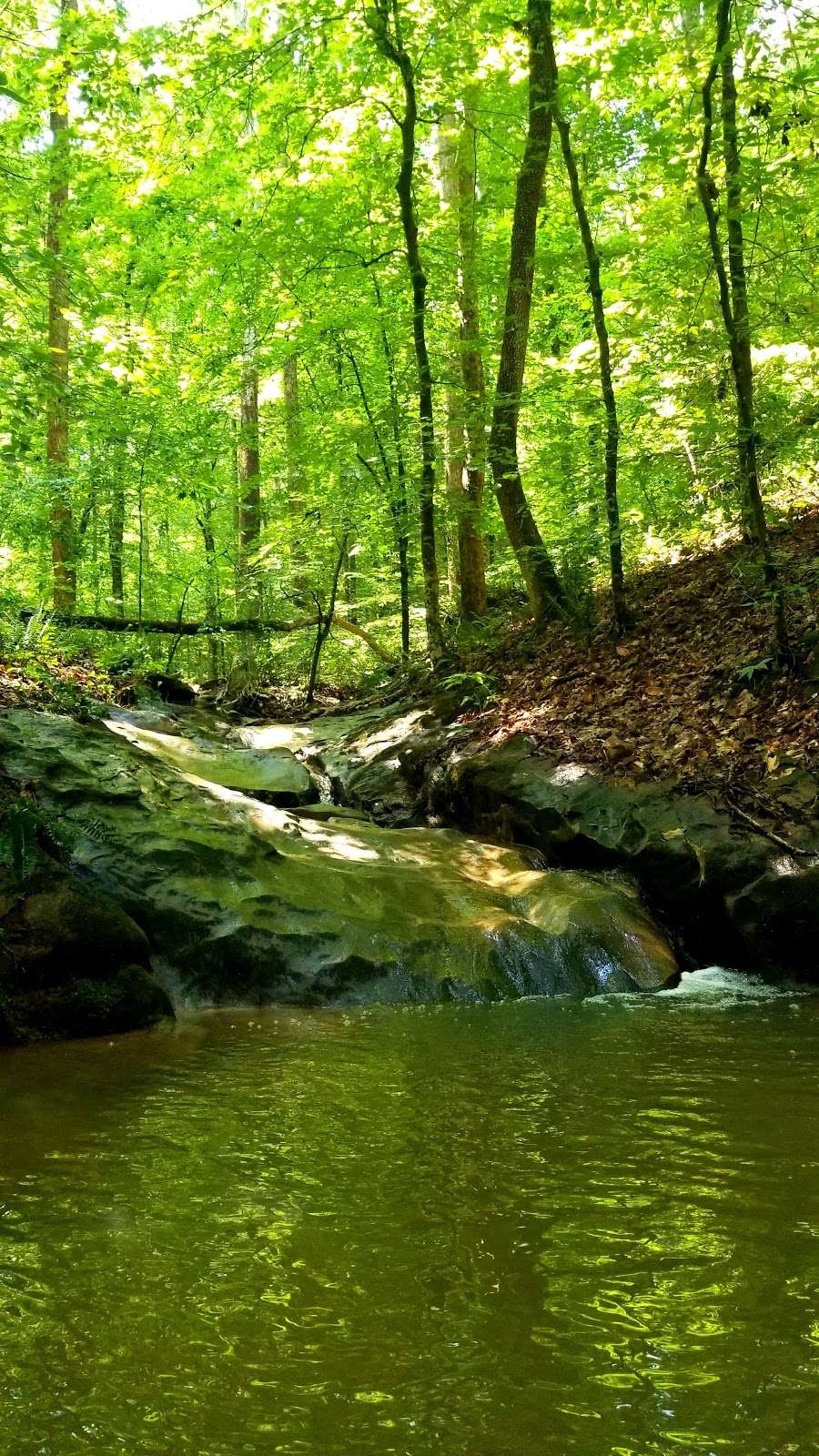 Poor Farm Park | 13400 Liberty School Rd, Ashland, VA 23005, USA | Phone: (804) 275-0722