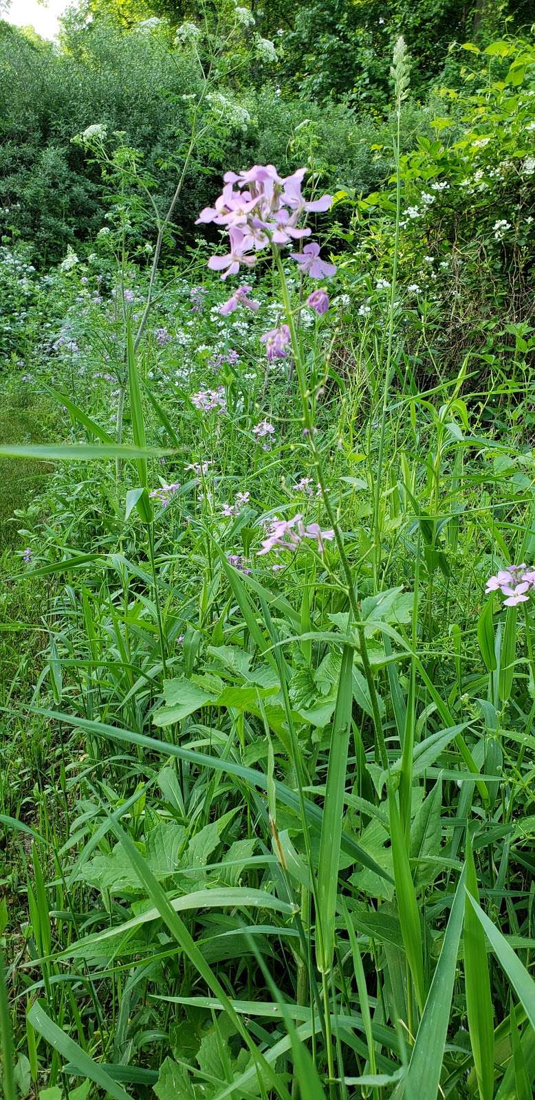 M. John Johnson Nature Center | 810 Skelp Level Rd, West Chester, PA 19380, USA | Phone: (610) 436-5108 ext. 108