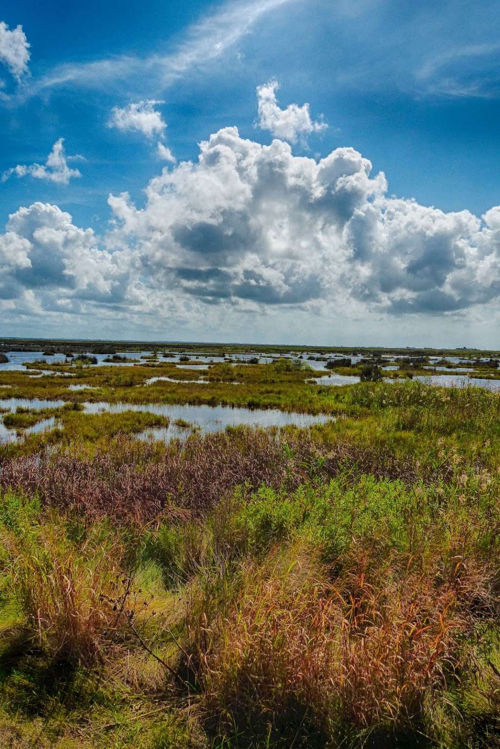 Deal Island State Wildlife Management Area | Dames Quarter, MD 21821, USA | Phone: (410) 543-8223