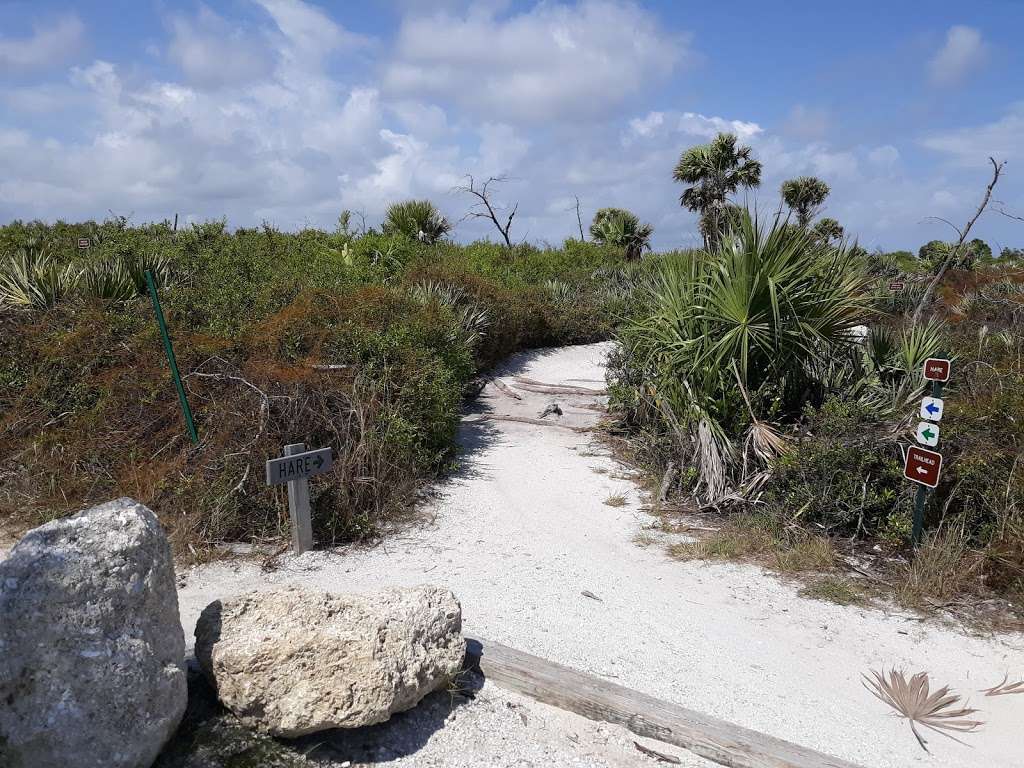 Camp Murphy MTB Trails at Jonathan Dickinson State Park | 16450 SE Federal Hwy, Hobe Sound, FL 33455, USA | Phone: (561) 722-8320