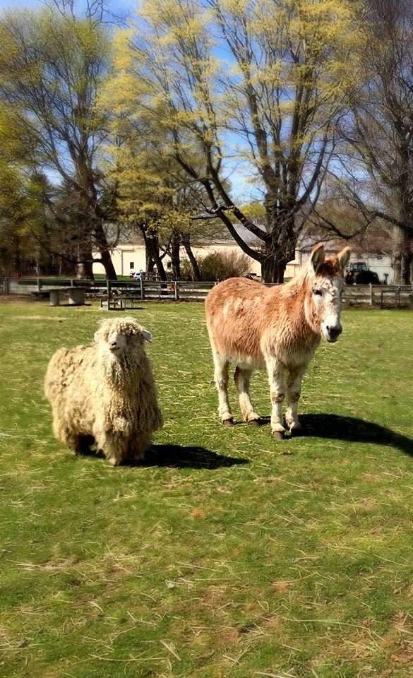 Spencer-Peirce-Little Farm | 5 Little’s Ln, Newbury, MA 01951, USA | Phone: (978) 462-2634