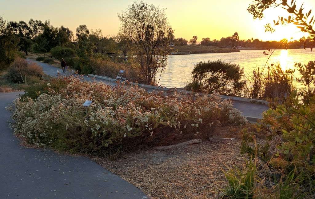 Lake Cunningham Native Garden | 2305 S White Rd, San Jose, CA 95148, USA | Phone: (408) 794-7565