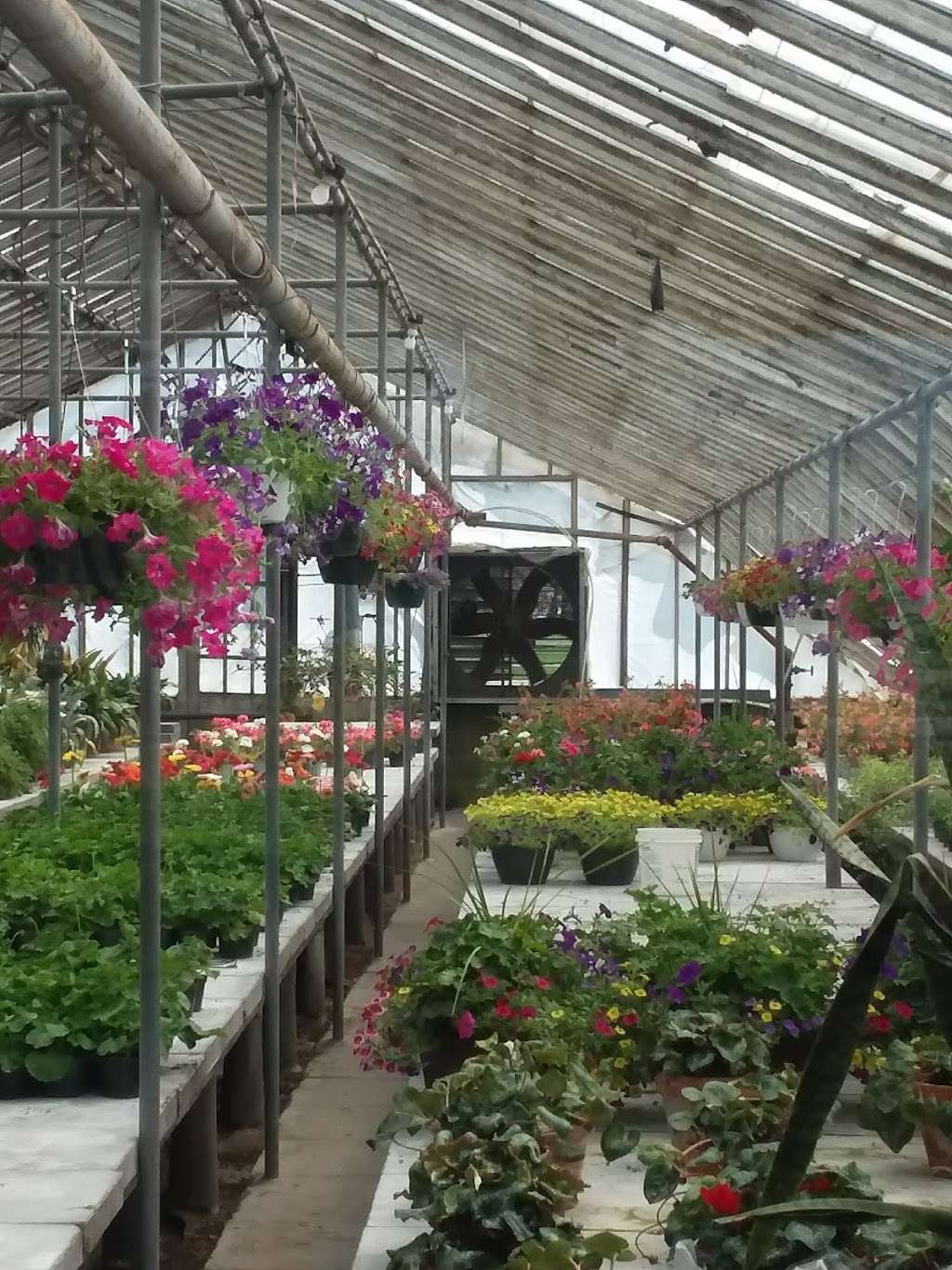 H & J Florist and Greenhouses | 3965 Red Arrow Hwy, St Joseph, MI 49085, USA | Phone: (269) 429-3621