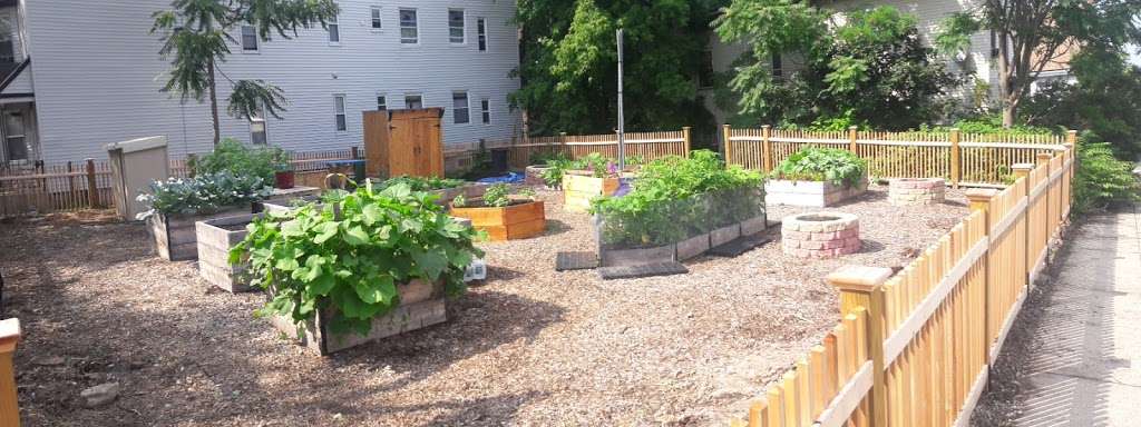 Folsom Street Community Garden | 27 Folsom St, Dorchester, MA 02125