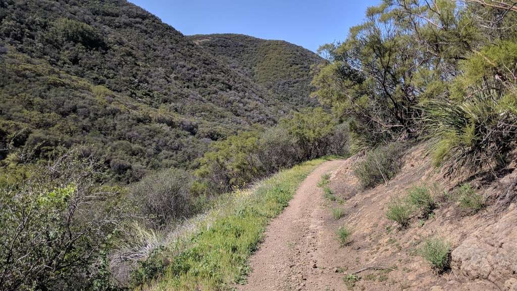 Backbone Trail | Yerba Buena Road, Malibu, CA 90265, USA