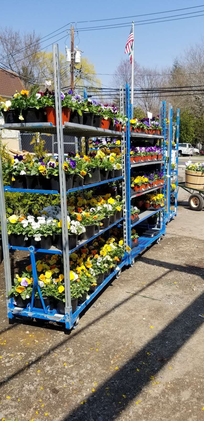 DErcole Farms & Garden Center | 489 Tappan Rd, Northvale, NJ 07647, USA | Phone: (201) 768-0495