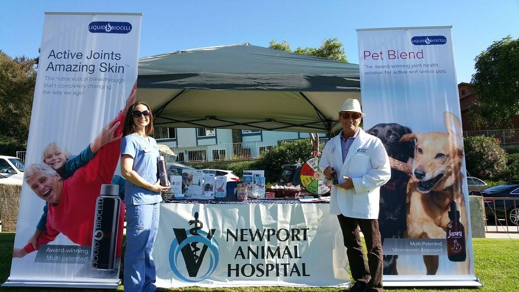 Newport Animal Hospital | 21157 Newport Coast Dr, Newport Beach, CA 92657, USA | Phone: (949) 706-8380