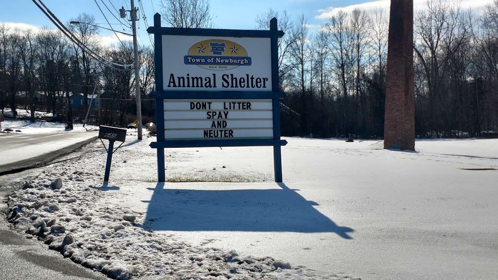 Newburgh Animal Control | 645 Gidney Ave, Newburgh, NY 12550, USA | Phone: (845) 561-3344