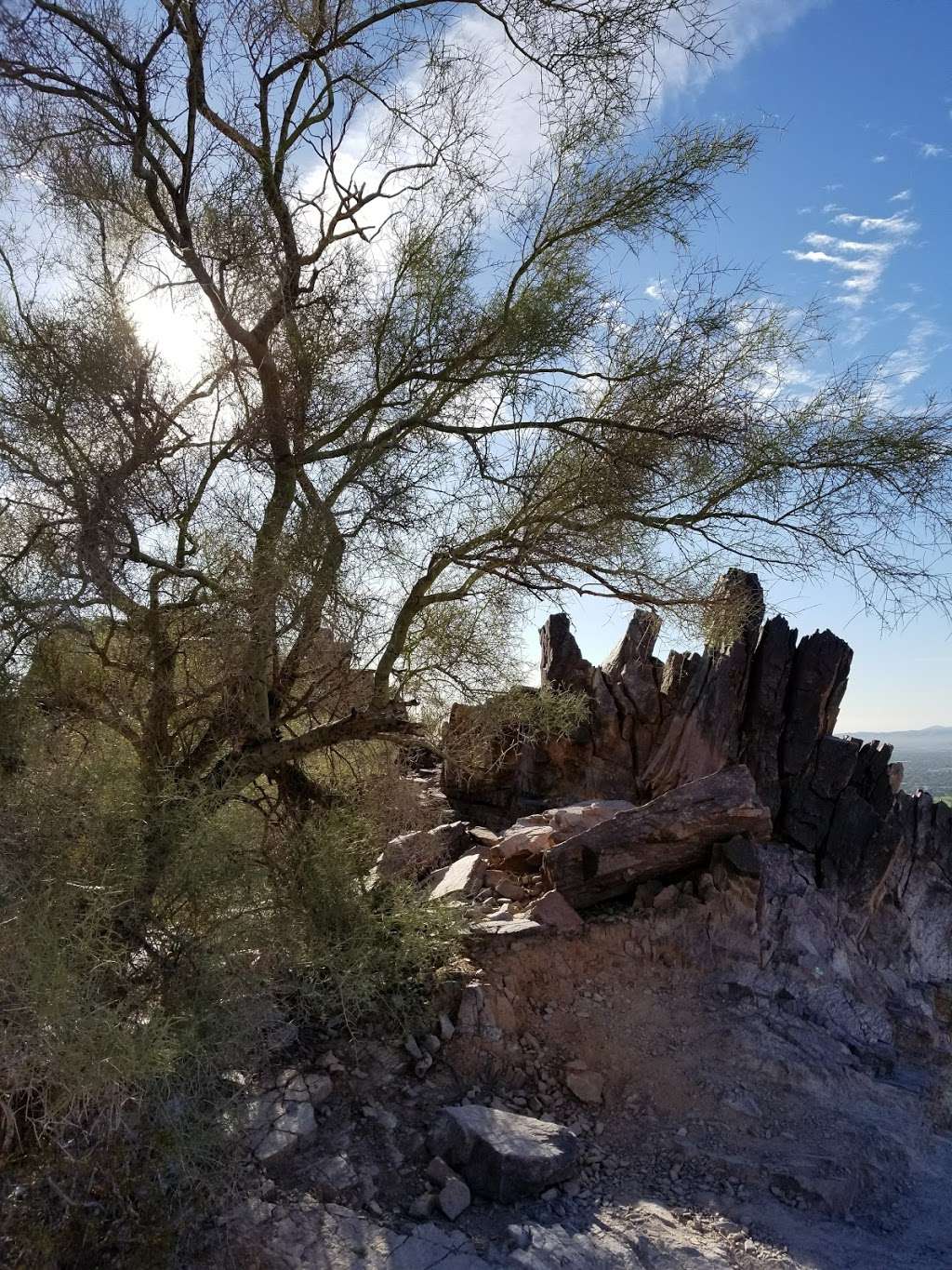 Phoenix Mountains Preserve | 2701 E Squaw Peak Dr, Phoenix, AZ 85028, USA | Phone: (602) 261-8318