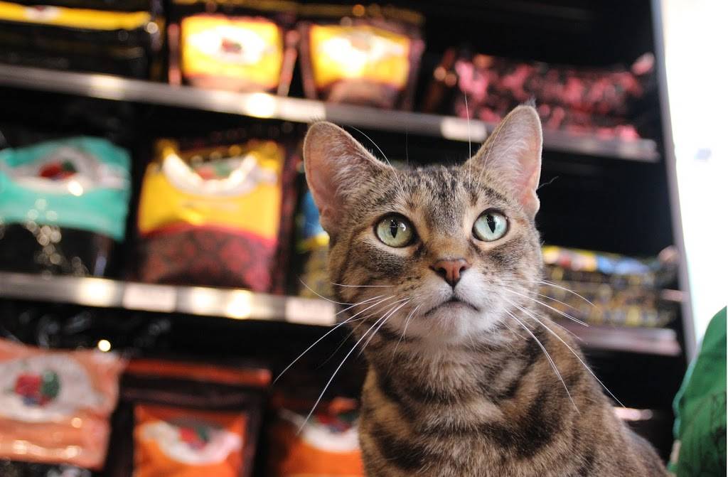 Chuck & Dons Pet Food & Supplies | 9868 W Belleview Ave, Littleton, CO 80123, USA | Phone: (303) 586-5995