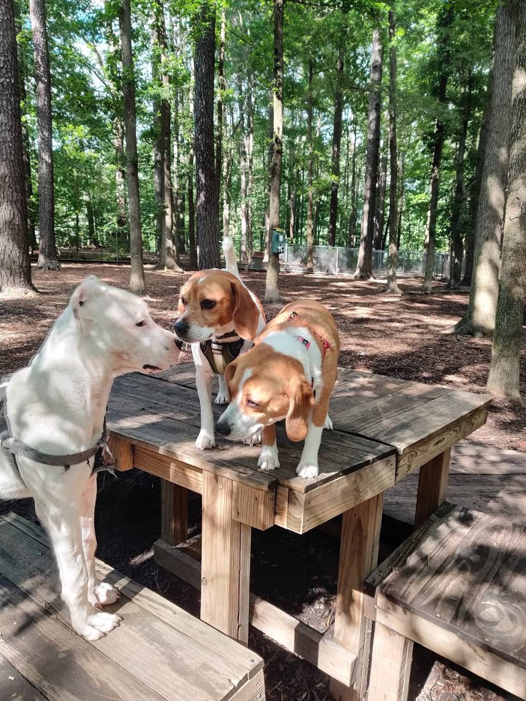 Carolina Pines Dog Park | 2305 Lake Wheeler Rd, Raleigh, NC 27603, USA | Phone: (919) 831-6435