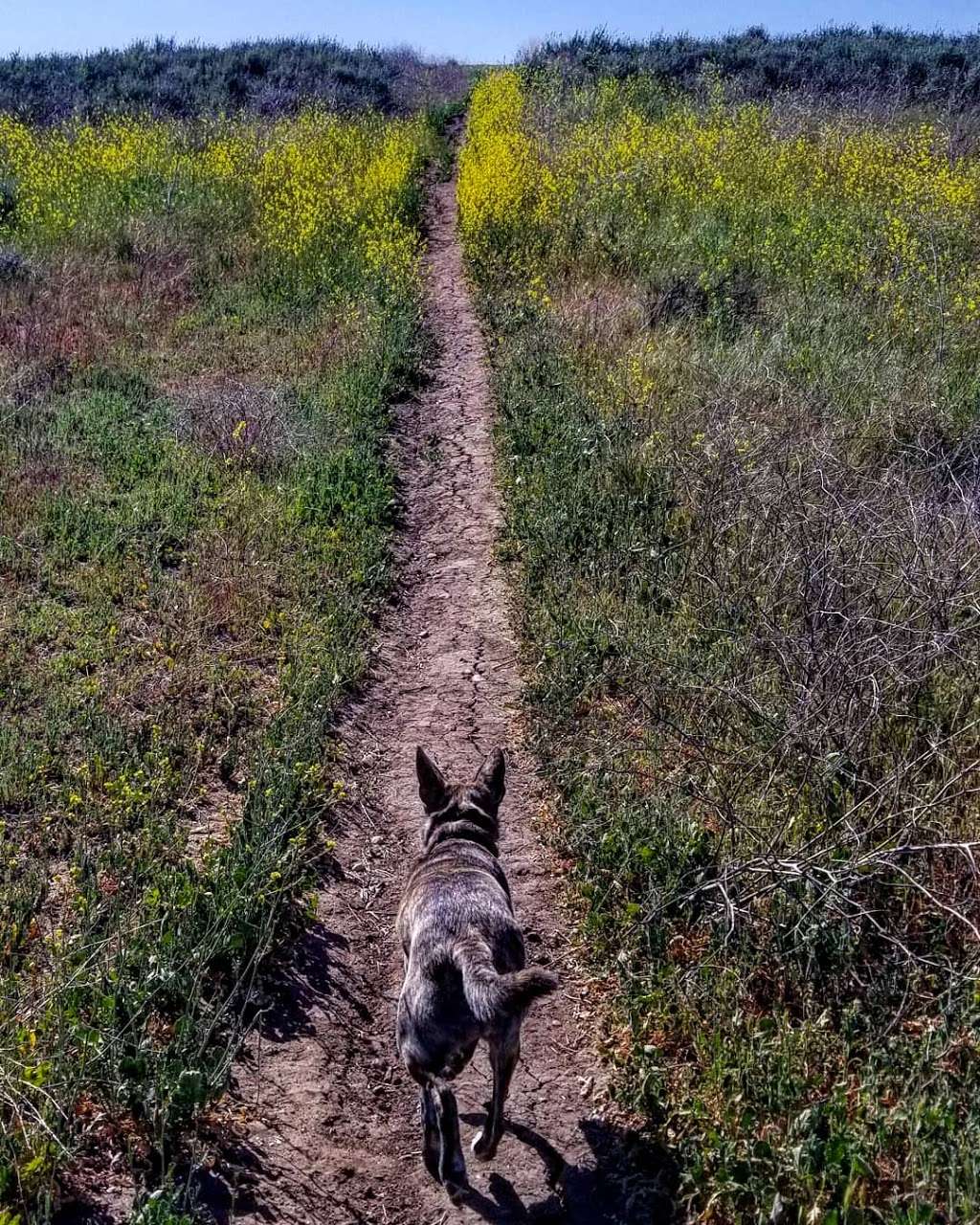 Abandoned golf course trail | Simi Valley, CA 93065, USA