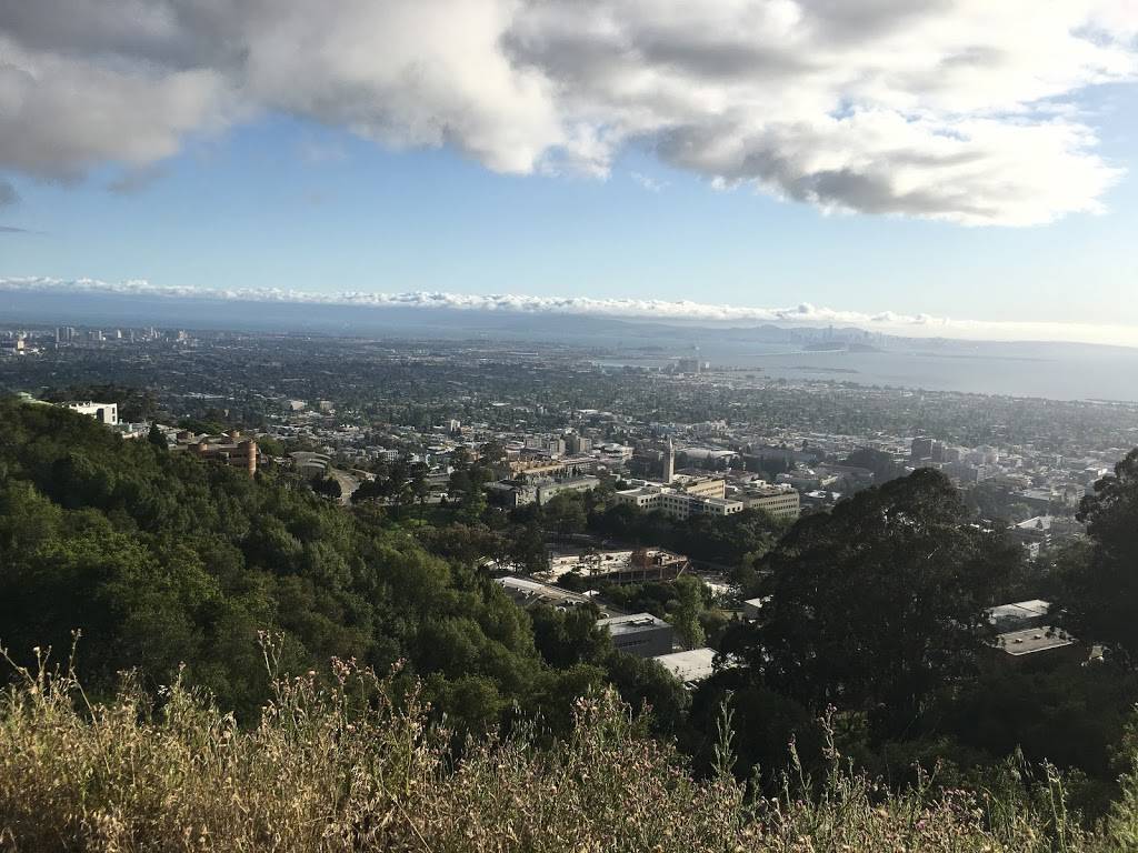 Vista Lot | 1 Centennial Dr, Berkeley, CA 94720, USA | Phone: (510) 642-4283