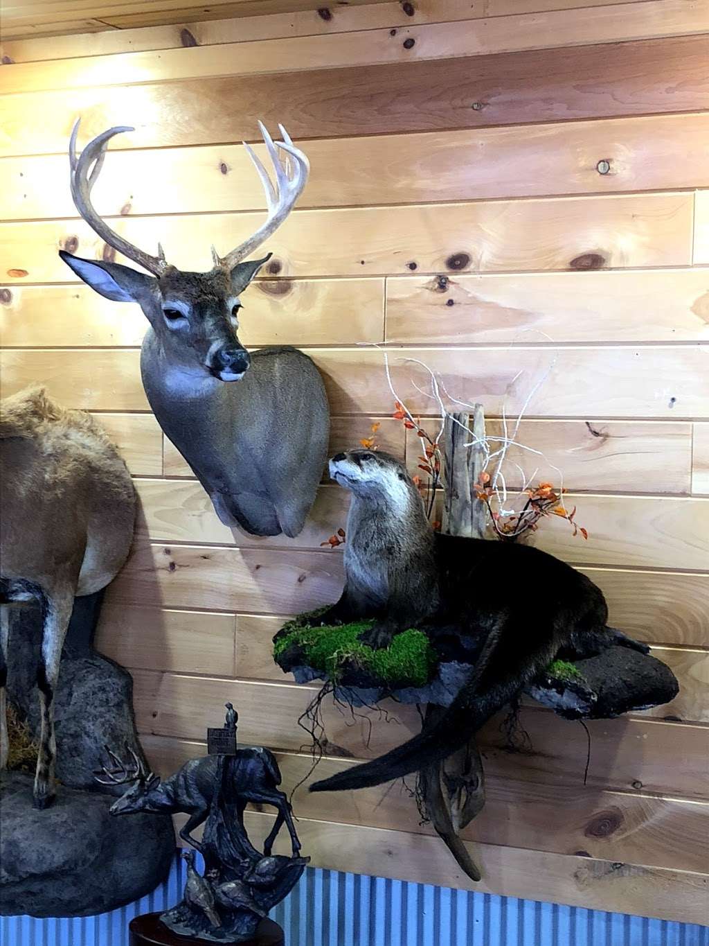 Nature’s Outdoors and Taxidermy | 357A Camp Lavigne Rd, Benton, PA 17814, USA | Phone: (570) 925-4091