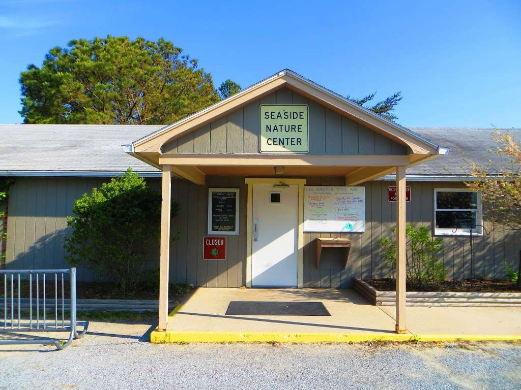 Seaside Nature Center | 15099 Cape Henlopen Dr, Lewes, DE 19958, USA | Phone: (302) 645-6852