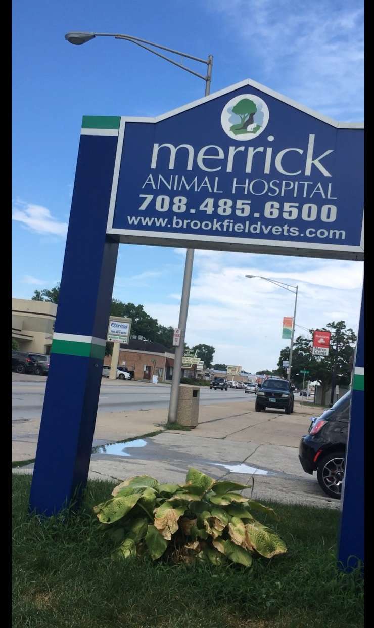 Merrick Animal Hospital | 9115 Ogden Ave, Brookfield, IL 60513, USA | Phone: (708) 485-6500