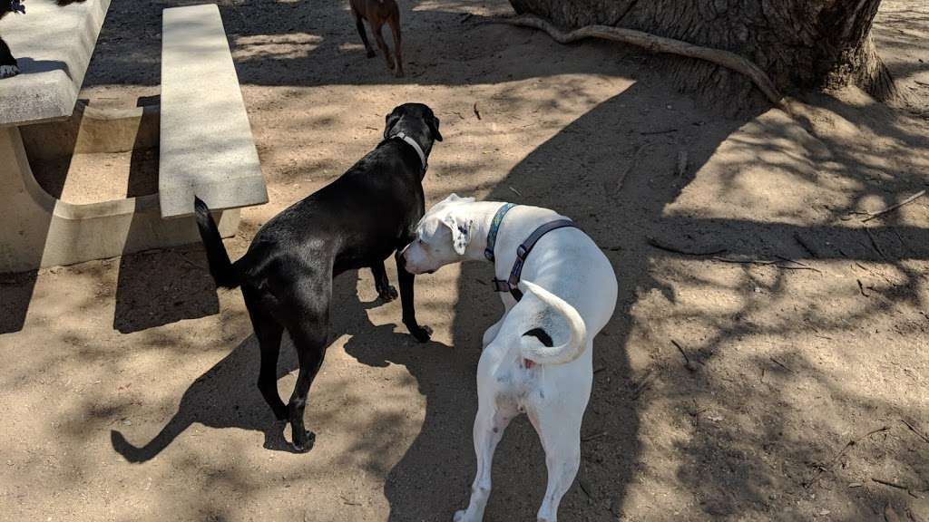 Griffith Park Dog Park | Glendale, CA 91201, USA | Phone: (323) 913-4688